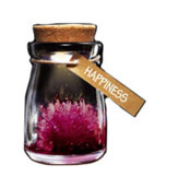 Crystal Wish Flower Happiness Crystal Wish Flower Happiness